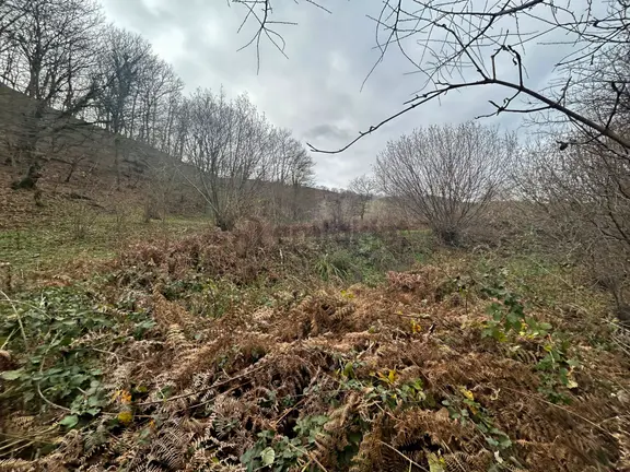 Kocaeli Karamürsel Kızderbent Satılık %5 İmarlı 327 M2 Tarla 1