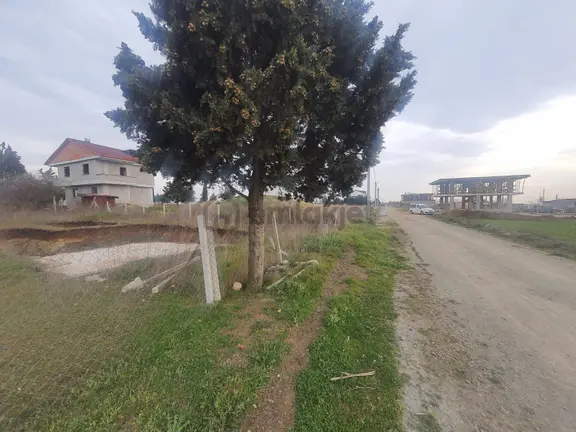 Haydar Emlaktan Yenicede 300 M2 Projesi Hazır Müstakil Arsa 2