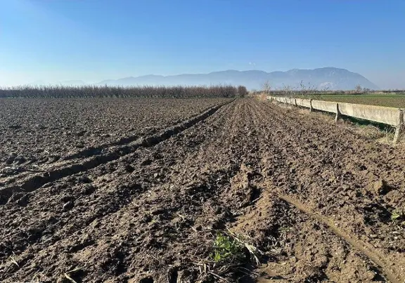 Manisa Turgutlu,da 4393m2 Tarla 1