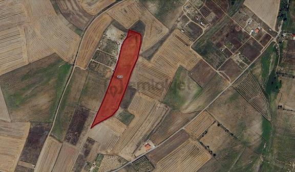 Turyap Hürriyetten M.ereğlisi Yeniçiflik 15.900 M2 Satılık Tarla 2