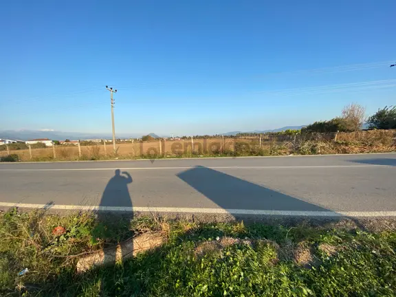 Burhaniye De Satılık 48,000 Metre Kare Arsa.denize 800 Metre Mesafe 1