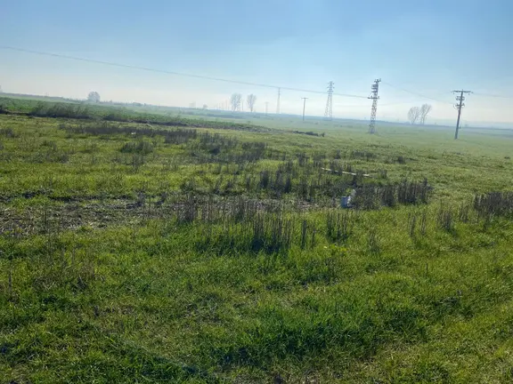 Vize Evrenlide Yatırımlık 638 M2 Tarla Hisseli Parsel 1