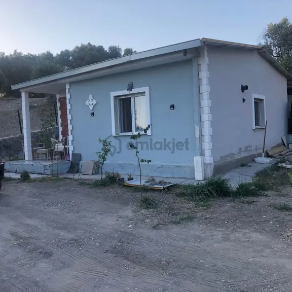 Turyap Bornova'dan Yakaköy'de Satılık 350 M2 Zeytinlik 1