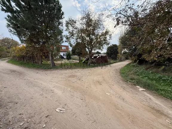 📌nazilli İsabeyli'de 10 Dönüm Satılık Tarla 📌 1