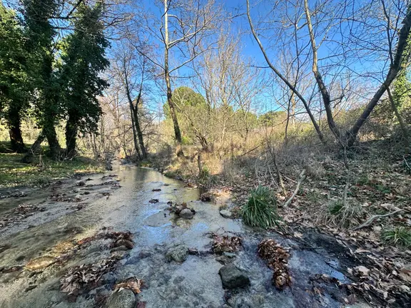 Mera Emlaktan Hacıarslanlar Köyü Dereye Cephe 7000m2 Tarla 1