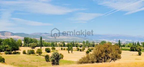 Uşak Banaz Susuzda Araç Takasi Olur 1