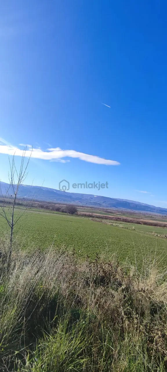 Adalet Gold Group Emlak'tan Satılık Tarla Çimenözü Uygun Fiyata 2