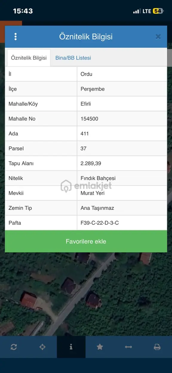 Perşembe Efirli Satılık 2289 M2 Fındık Bahçesi 2
