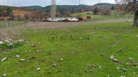 Akçay Artı Emlak'tan Havran Kocadağ'da Satılık 6400m2 Tarla 1