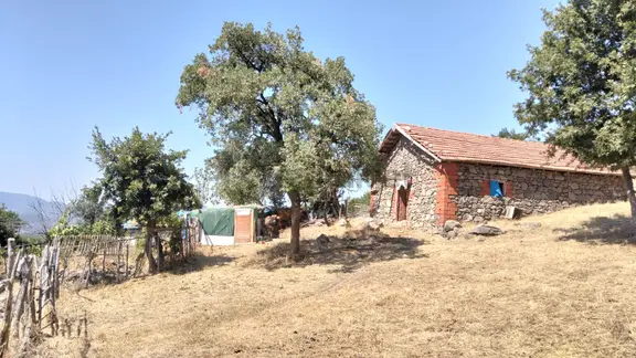 Artı Emlak'tan Havran Hallaçlar'da Satılık 6.550 M2 Tarla 2