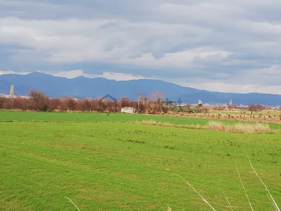Artı Emlak'tan Burhaniye Börezli'de Satılık 11.000 M2 Tarla 2