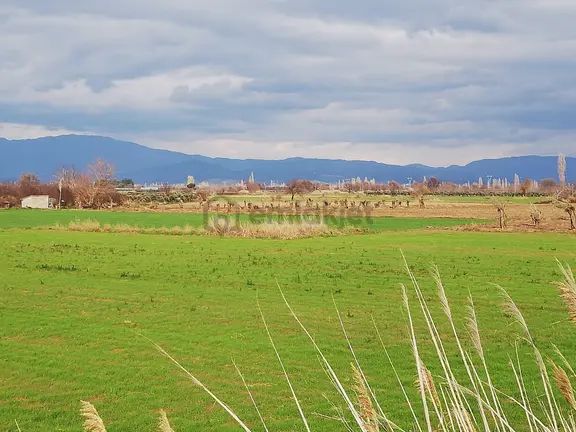 Artı Emlak'tan Burhaniye Börezli'de Satılık 11.000 M2 Tarla 1