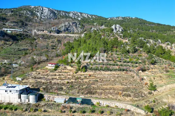Alanya Yaylakonak’ta 3.299 M² Satılık Tarla 1