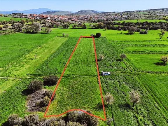 Kula'da Satılık 3000 M2 Düz Tarla, Hobi Bahçesi. 2