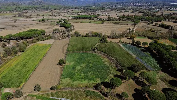 Bergama Kozak Yaylası Karaveliler Mah.de 10.460 M2 Satılık Tarla 2