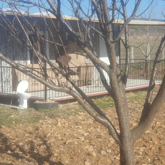 Tavas Ovacıkta Tam Veriminde Satılık Ceviz Bahçesi Fırsatı! 1
