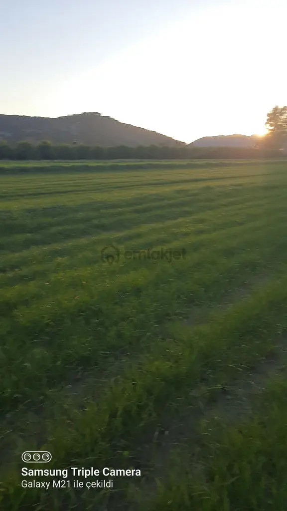 Ortaca Fevziye 7100 M2 Tarla 1