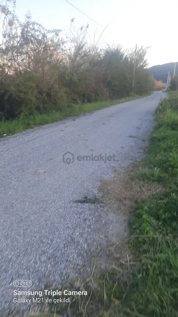 Ortaca Fevziye 7100 M2 Tarla 2