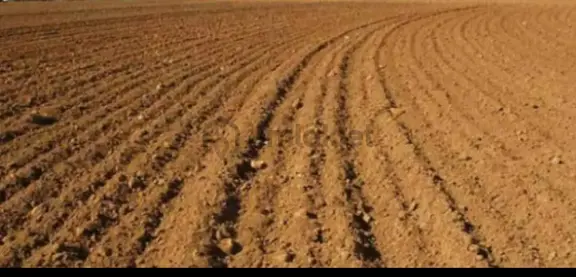 Satılık Tarla * Hayvancılık Yapmaya Uygun
