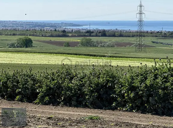 Marmaraereğlisi Çeşmeli Deniz Manzaralı Yola Cephe Kupun Arsa 2