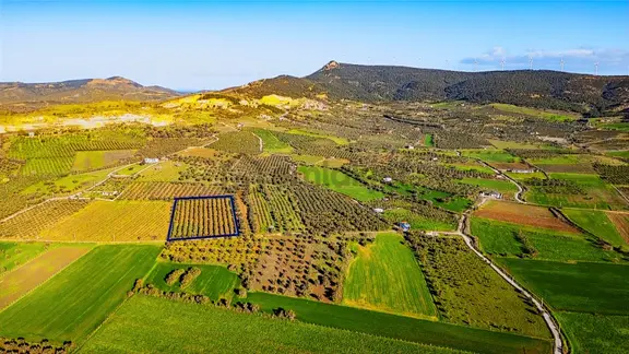 Foça Kocamehmetler'de Satılık Fırsat Fiyatlı Tarla 2