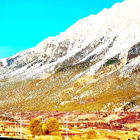 Kar Emlaktan Kamışlı Yaylasında 500 M2 Satılık Arsa 2