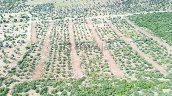 Yeşiltepe Zümrüttepeye Komşu Satılık Hobi Bahçeleri 1