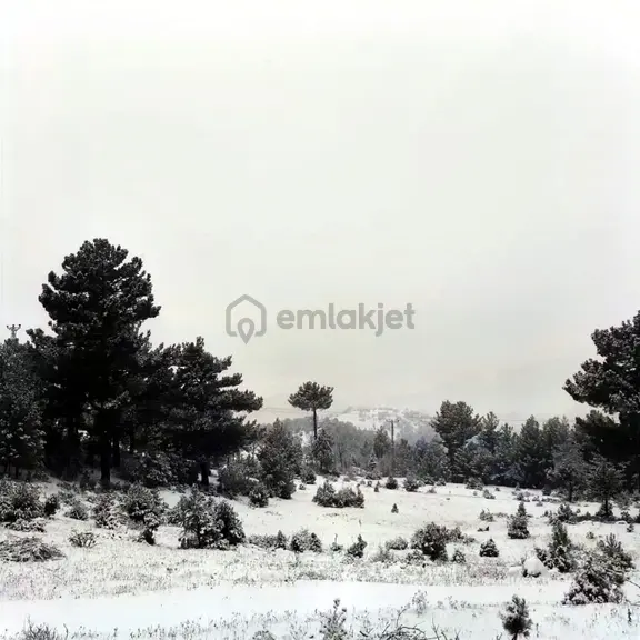 Kar Emlaktan Gökbez Yaylasında 10 Dönüm Satılık Tarla 1