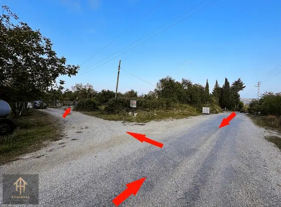 Sinop Merkez Dizdaroğlu Köyü Satılık 7000 M2 Tarla 2