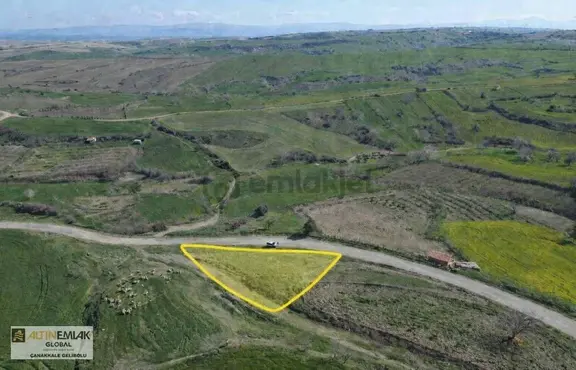 Altın Emlaktan Yeniköyde Fırsat Yola Cepheli Satılık Bağ 1