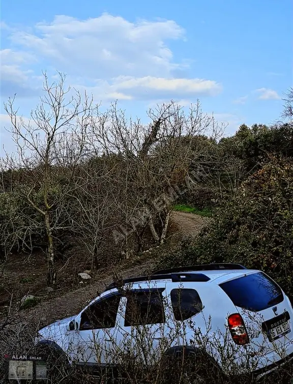 Yalıçiftlikte Köye Yakın Mesafe 1