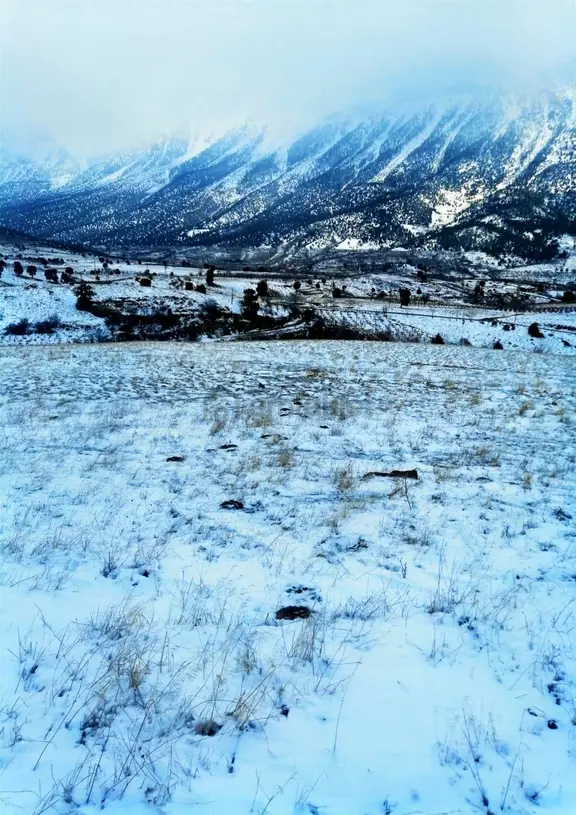 Kar Emlaktan Yazıcak Köyünde 500 M2 Satılık Arsa 1