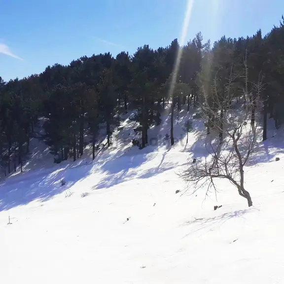 Kar Emlaktan Yenikonacık Bozkırlı Mevkiinde 400 M2 Satılık Arsa 2
