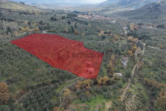 Mera Emlaktan Dereli Köyünde Ev+dam+su+ Mevcut 9.775m2 Zeytinlik 1