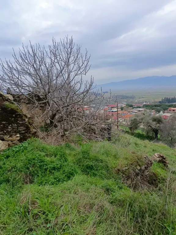 Aydın Yenipazar Hamzabali Köyünde Satılıık Arsa 1