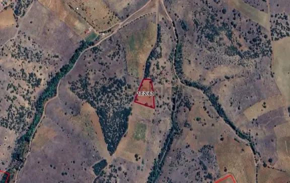 Konya Güneysınır Kayaağzı Köyünde 2.520 M² Bağ Satılıktır 1