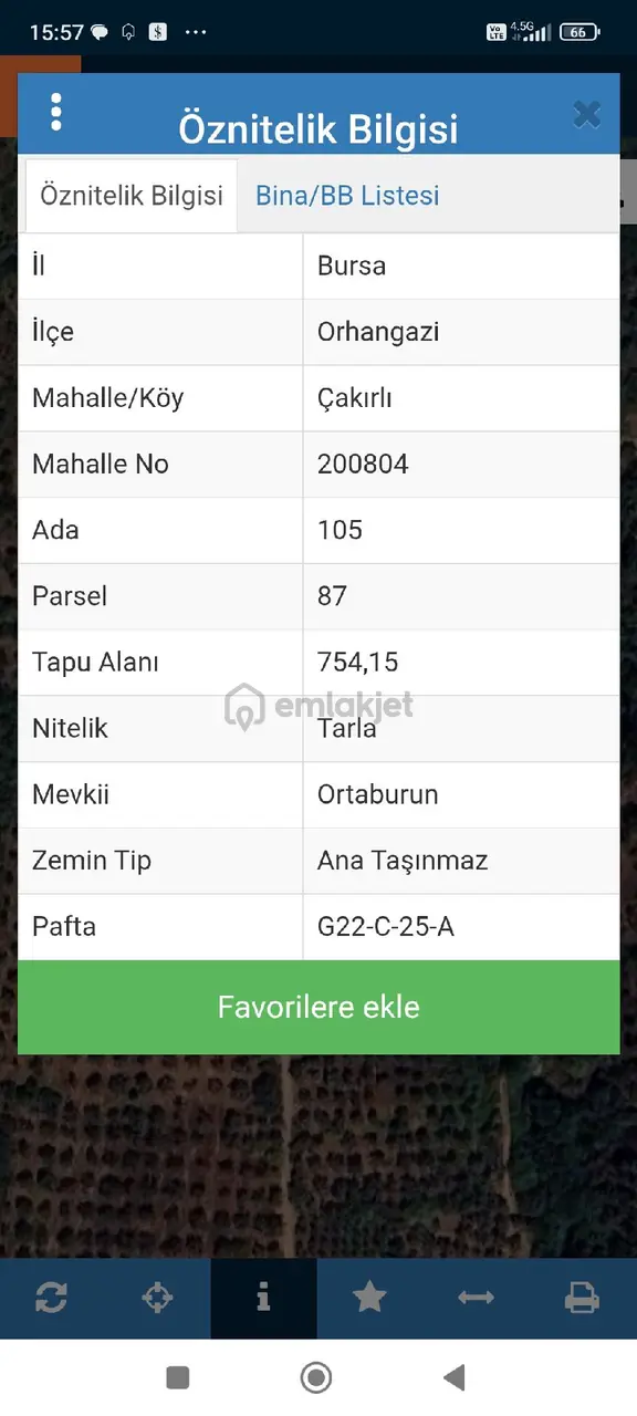 Bütçenize Uygun Zeytinlik 2