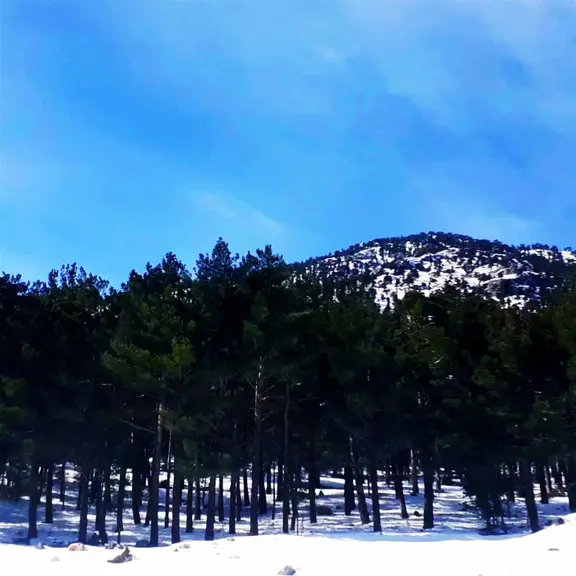 Kar Emlaktan Yenikonacık Bozkırlı Mevkiinde 400 M2 Satılık Arsa 2
