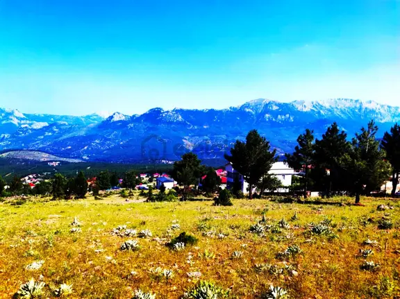 Kar Emlaktan Yenikonacık Yüksek Konumlu 375 M2 Satılık Arsa 2