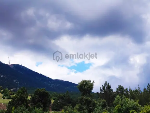 Kar Emlaktan Alpu Yaylasında 500 M2 Satılık Arsa 1
