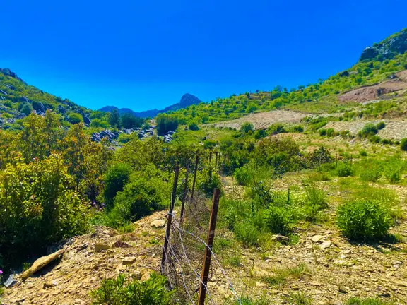 Mersin Anamur Karaçukur Müstakil Tapulu Satılık Tarla 2