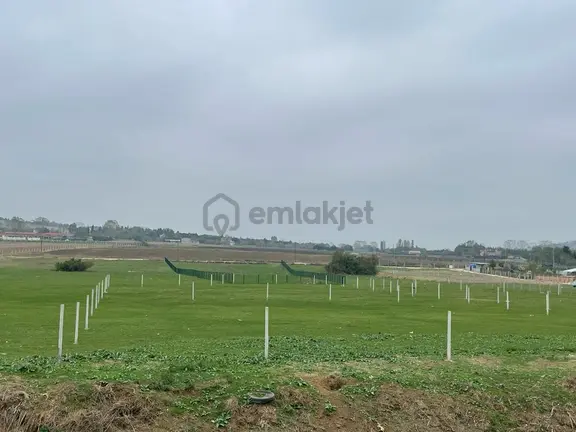 Çatalca Kestanelik De 5733m Tek Tapu Kısmi Takaslı Satılık Tarla 1