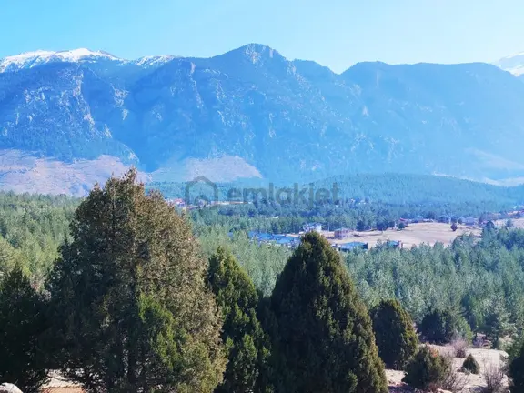 Kar Emlaktan Alpu Yaylasında 480 M2 Satılık Arsa 2