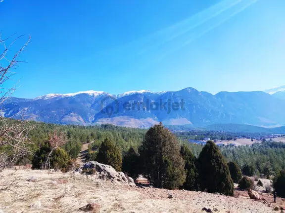 Kar Emlaktan Alpu Yaylasında 480 M2 Satılık Arsa 1