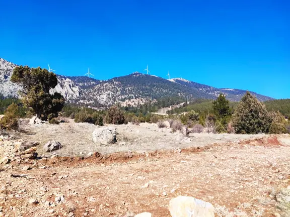 Kar Emlaktan Alpu Yaylasında 480 M2 Satılık Arsa 2