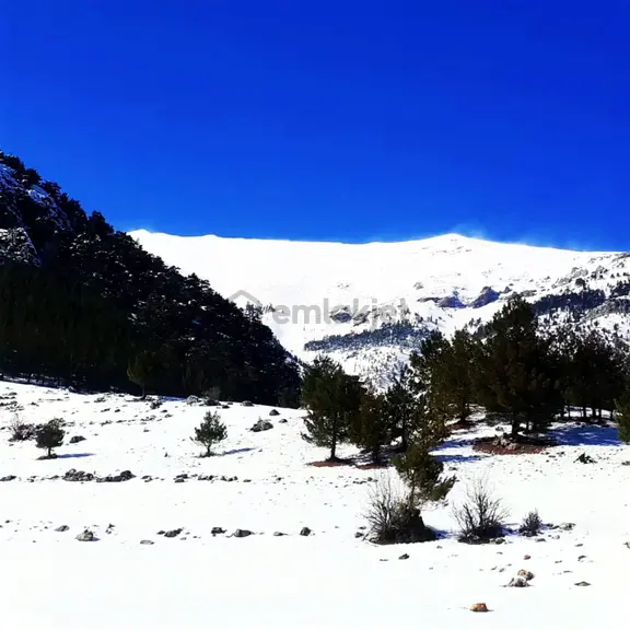 Kar Emlaktan Yenikonacık Körmenlik Mevkiinde 900 M2 Satılık Arsa 2