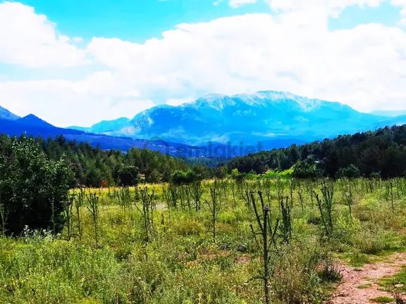 Kar Emlaktan Alpu Yaylasında 480 M2 Satılık Arsa 2