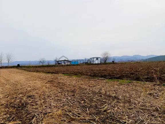 4.018 M² Satılık Tarla Konteyner Ve Yapı Kayıt Belgeli 2