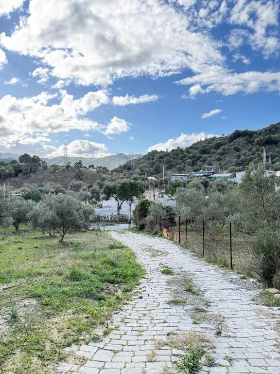 Söke Kuşadası Yolunda 7 Dönüm Satılık Arazi 1