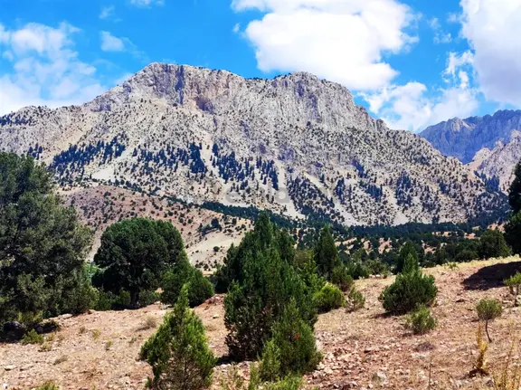 Kar Emlaktan Aşçıbekirli Fenese Mevkiinde 400 M2 Satılık Arsa 1